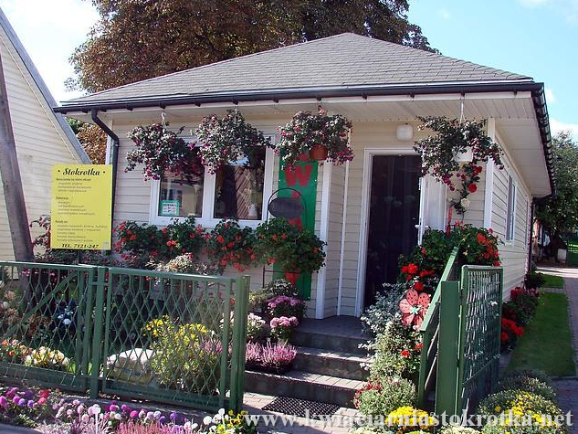 Wnętrze kwiaciarni z kompozycjami kwiatowymi na ladzie