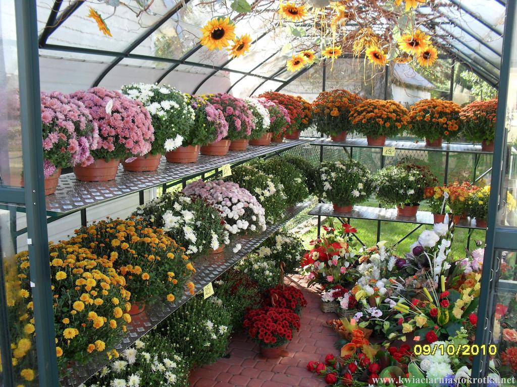 Nowoczesne wnętrze kwiaciarni z kolorowymi kompozycjami